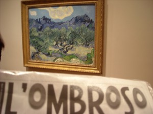 073_newyork_museo MoMA_The Olive Trees_van Gogh_7